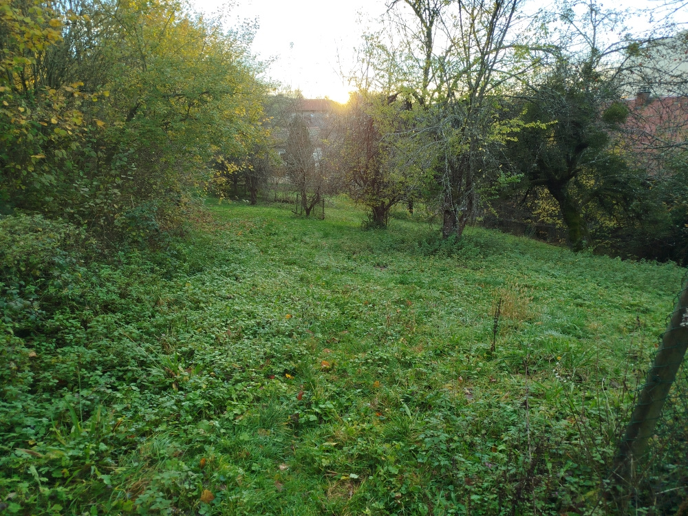 Terrain à bâtir de 1 416 m2 situé à Bonvillard (73)