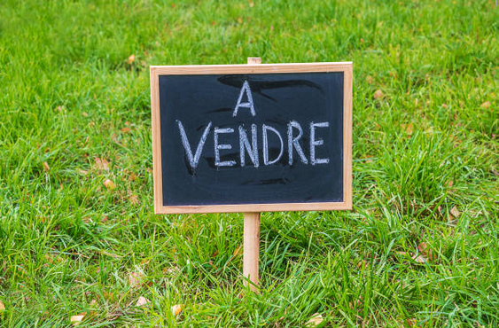 Terrain constructible - Rives-de-l'Yon