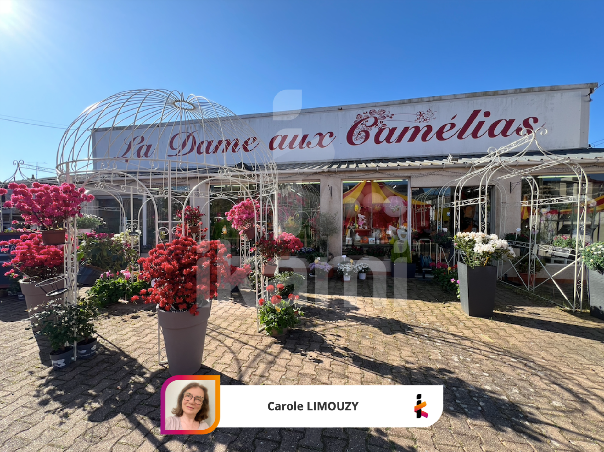 Agence immobilière de i-particuliers