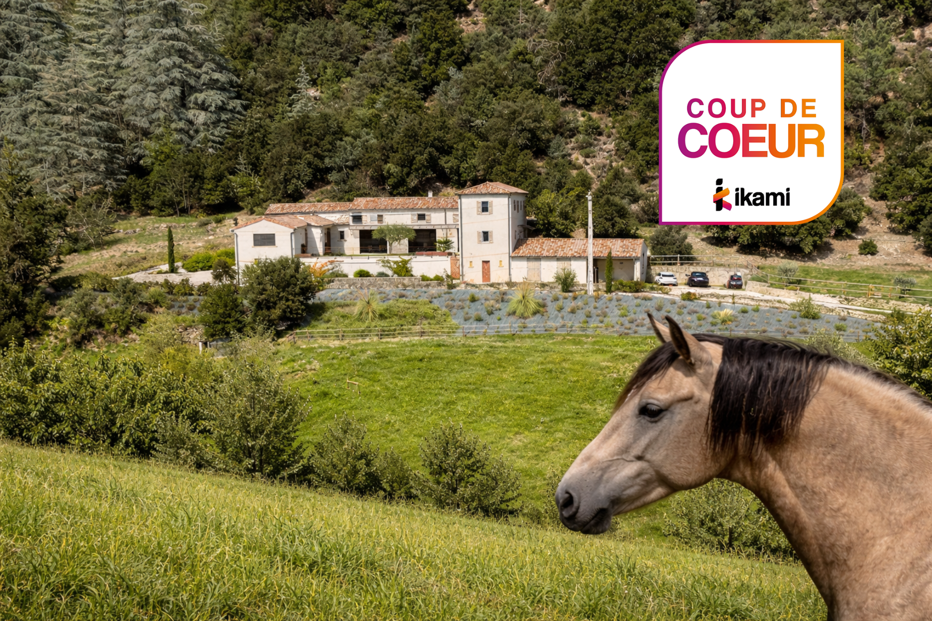 Agence immobilière de i-particuliers