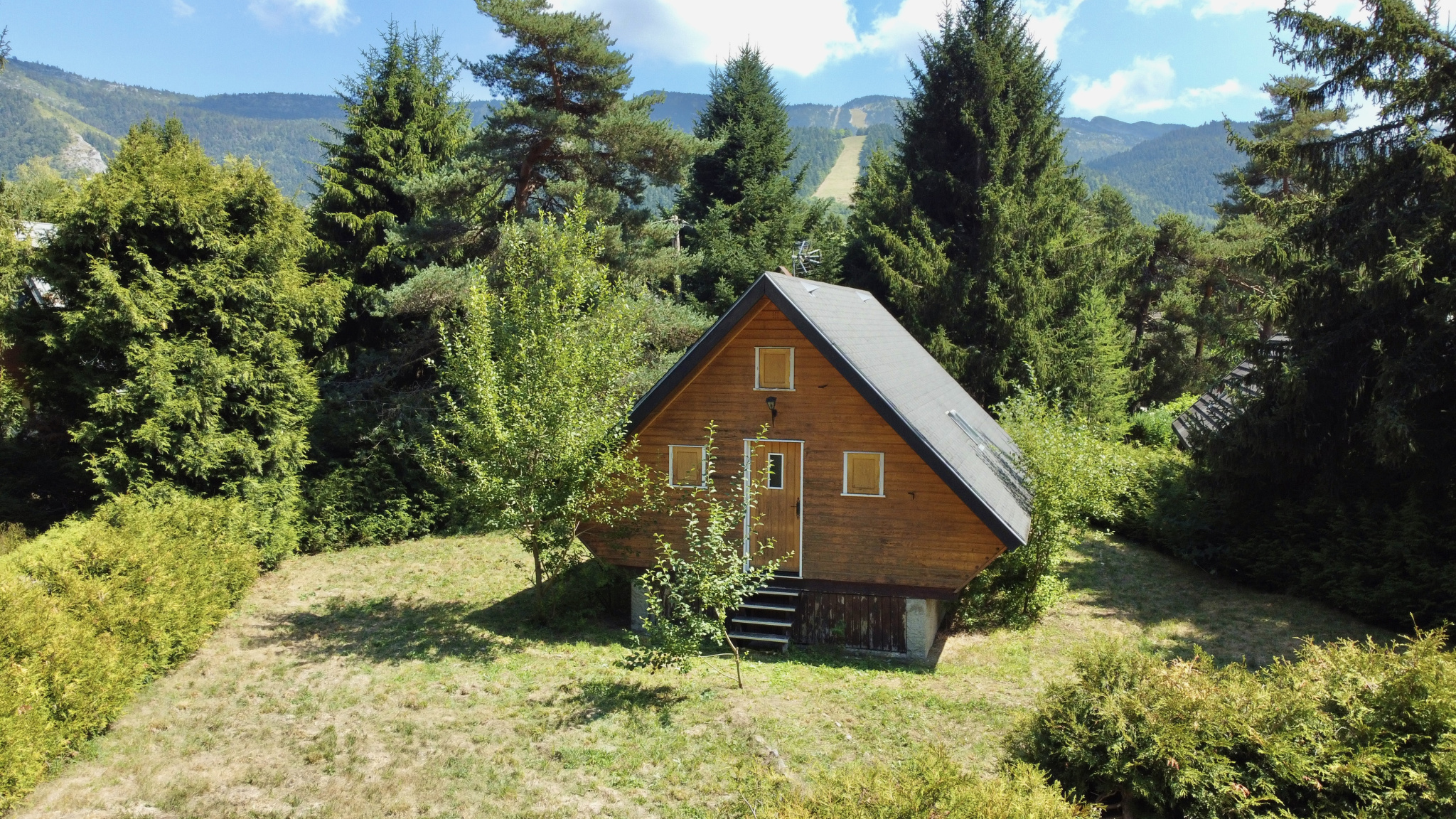 CHALET AVEC TERRAIN - LANS EN VERCORS