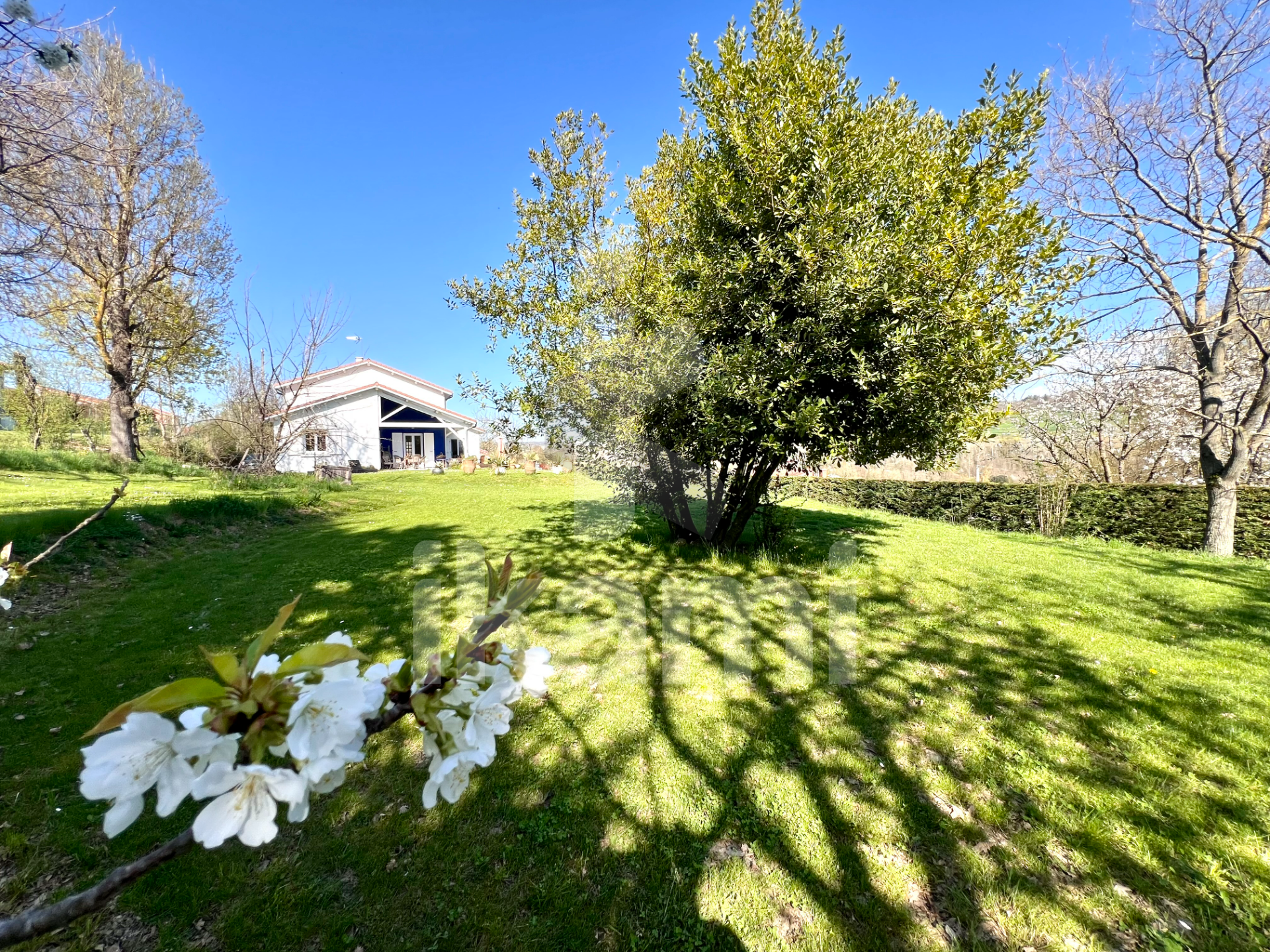 Agence immobilière de i-particuliers