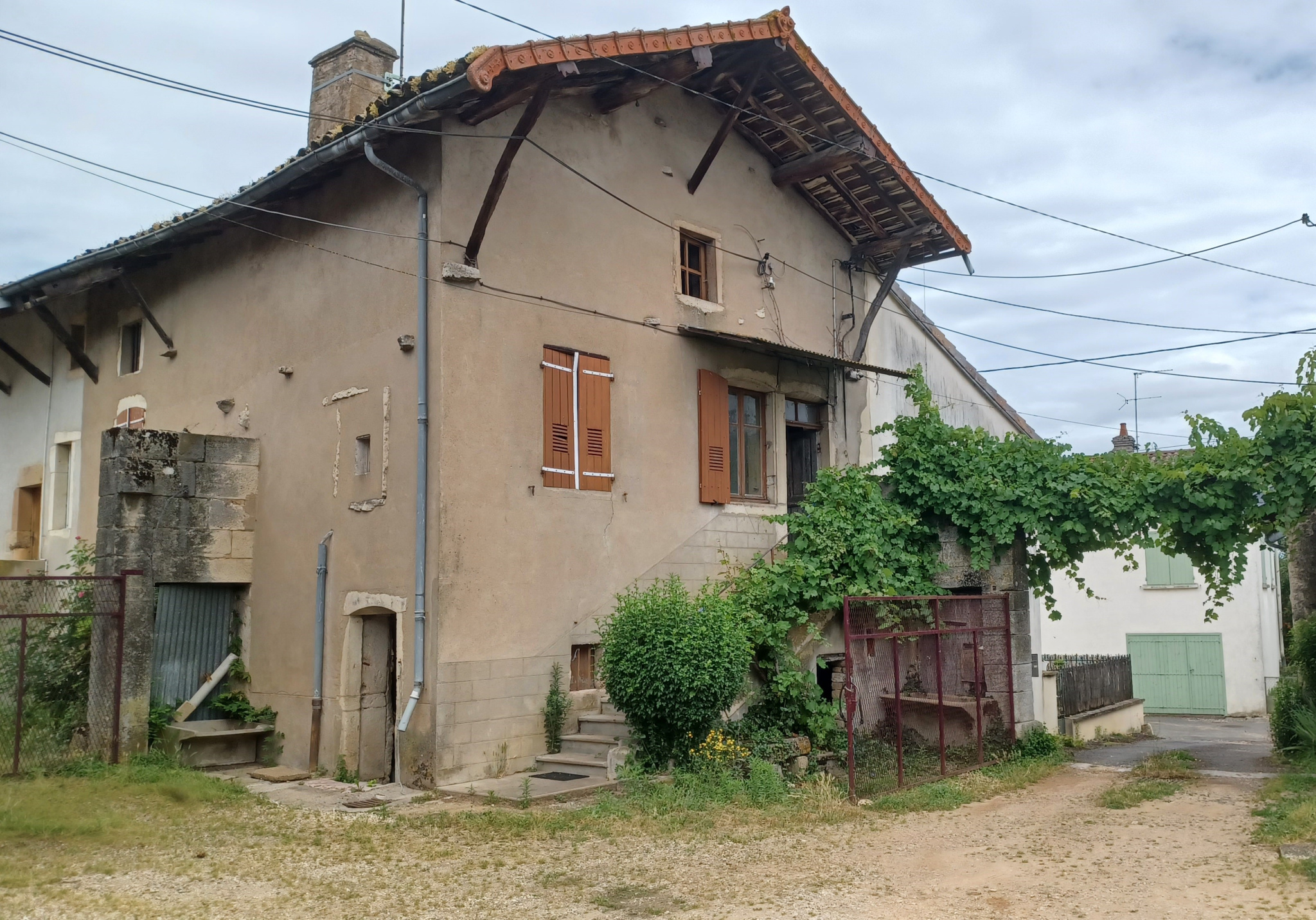 Photo 5