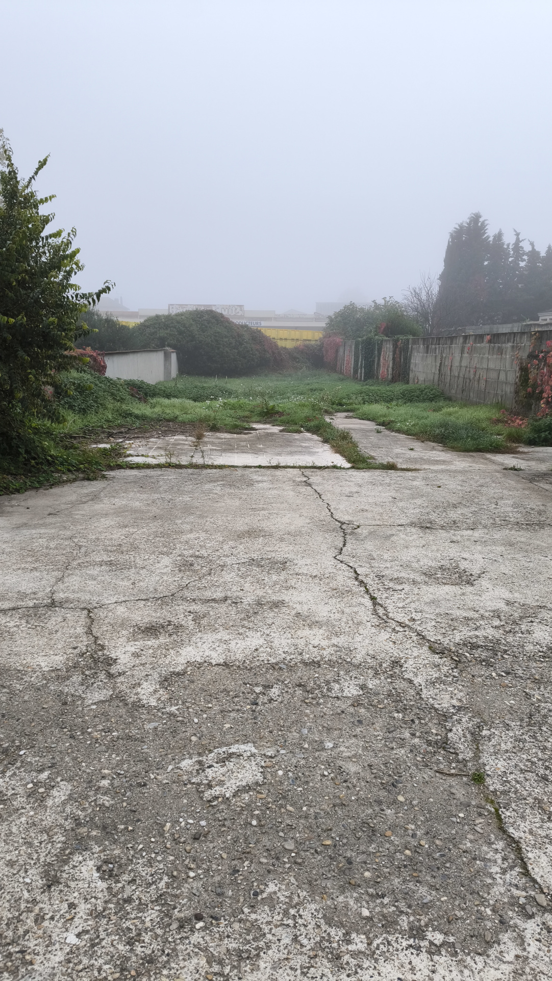 Photo bien immobilier