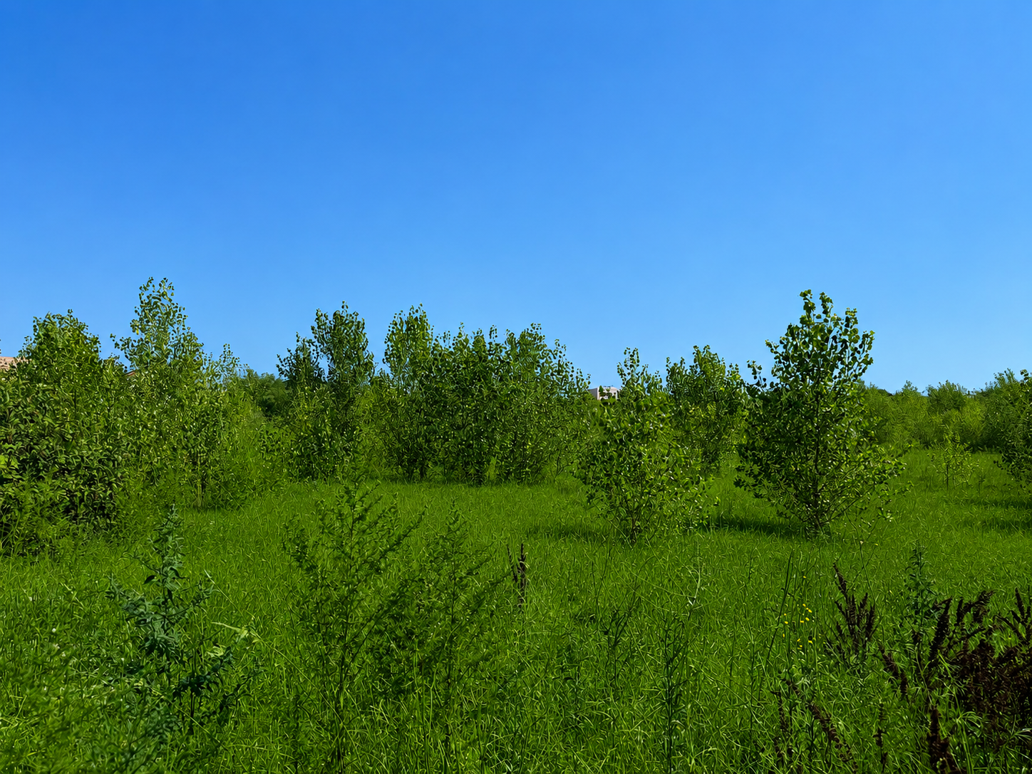 Terrain à bâtir de 281 m2 - Bourg Saint Andéol