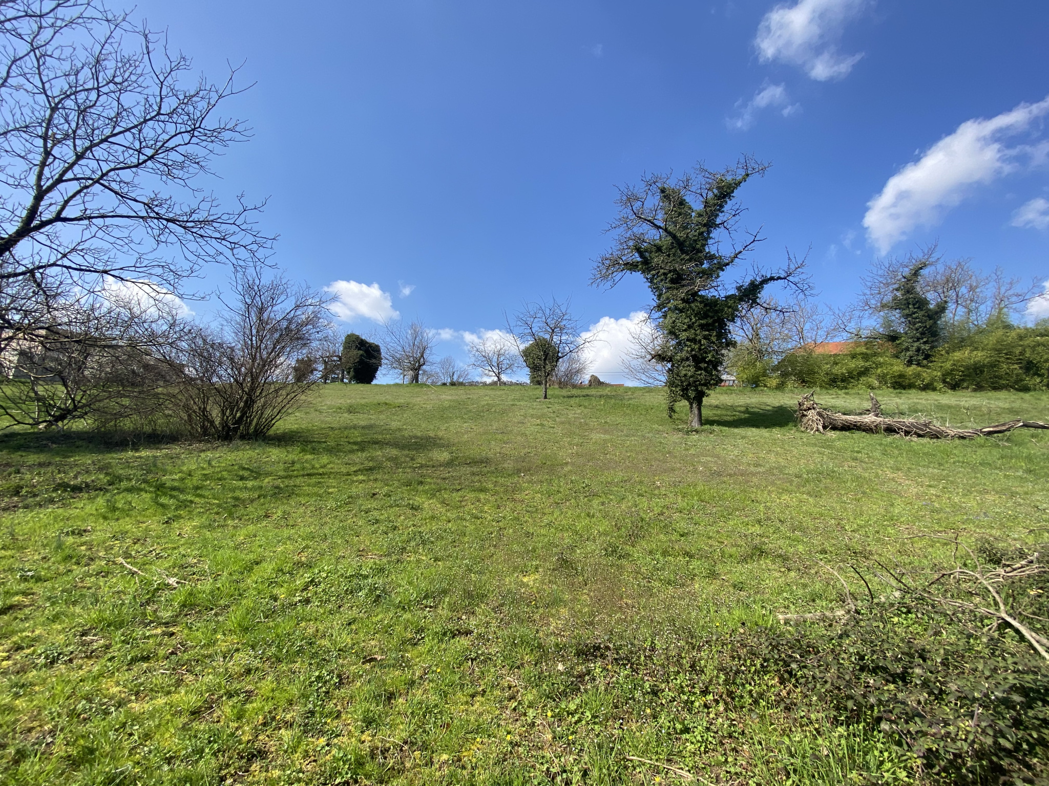 Agence immobilière de i-particuliers